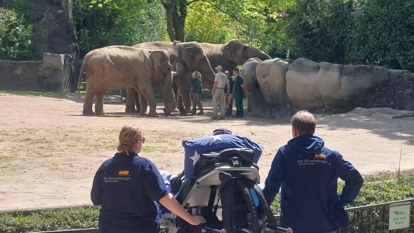 Wunschfahrt zum Tierpark Hagenbeck